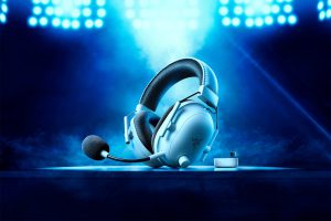 90903-011-42-1-300x200